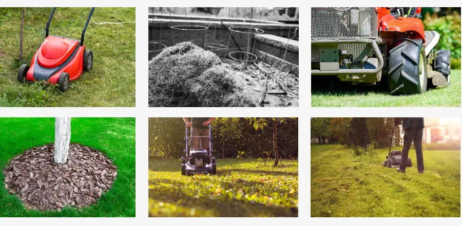 Grass mulching pros and cons
