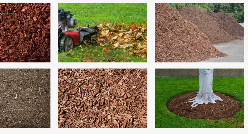 Top 10 Wholesale Mulch Suppliers