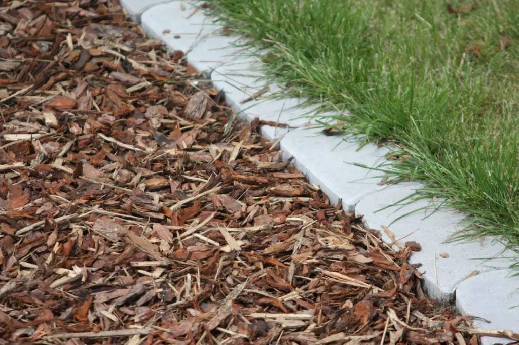 Does fir bark mulch attract termites