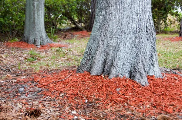 best wood mulch for apple trees