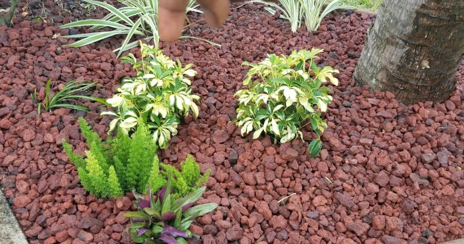 how to clean lava rock landscaping