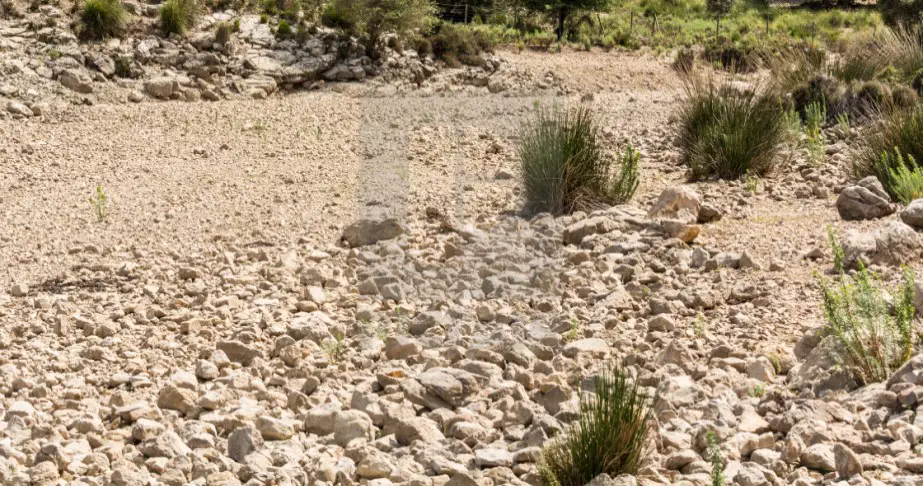 how to clean limestone landscape rocks