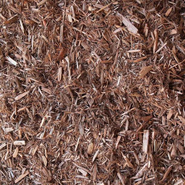 is cedar mulch good for apple trees