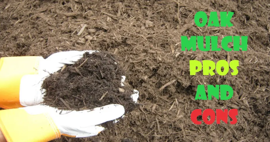 oak mulch pros and cons