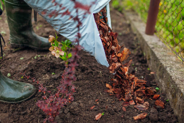 root mulch vs hardwood mulch which is better